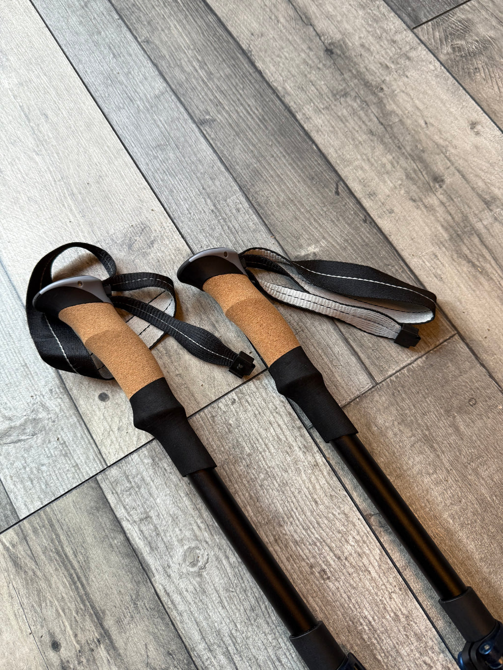 Trekology XE trekking poles