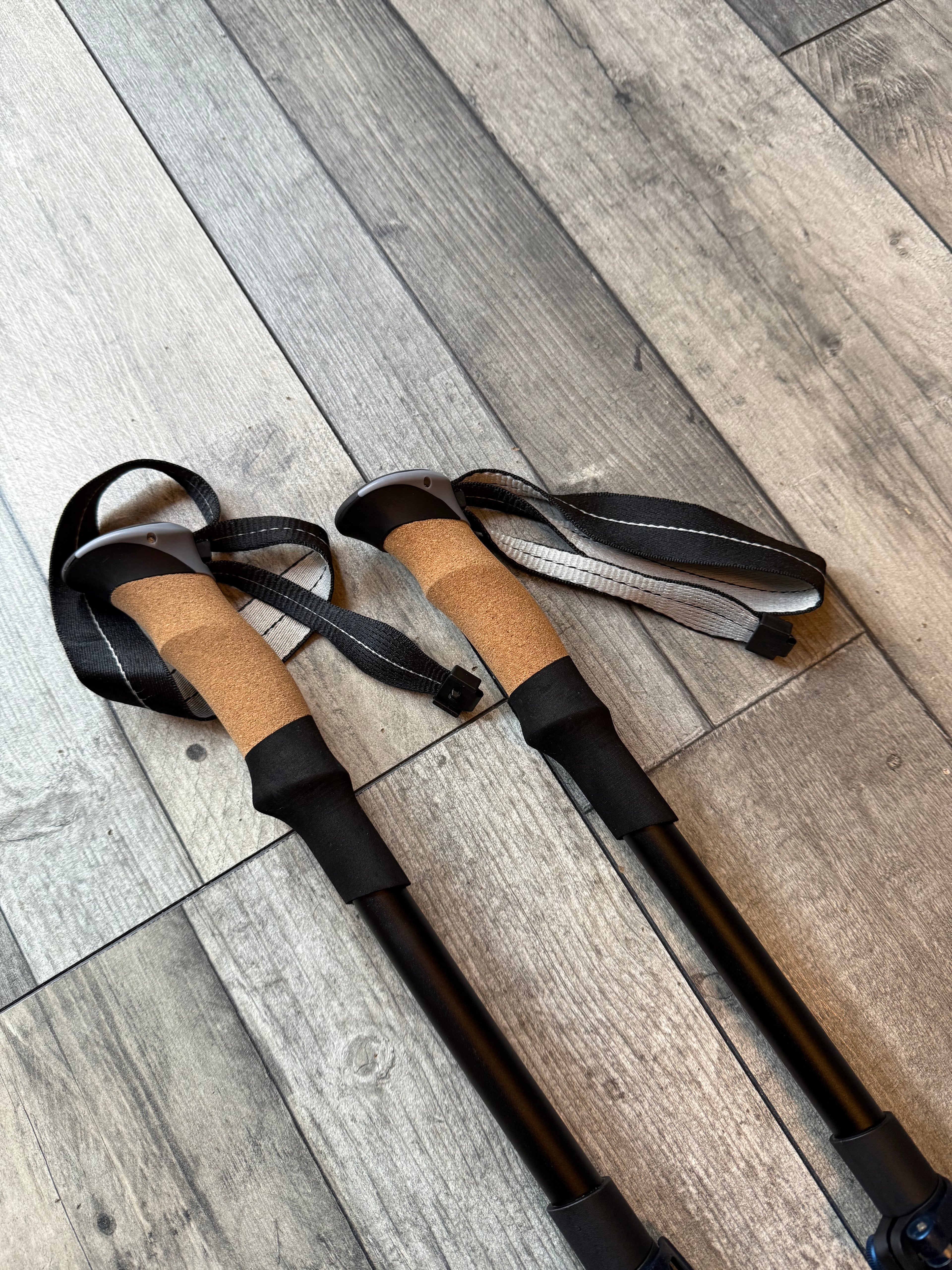 Trekology XE trekking poles