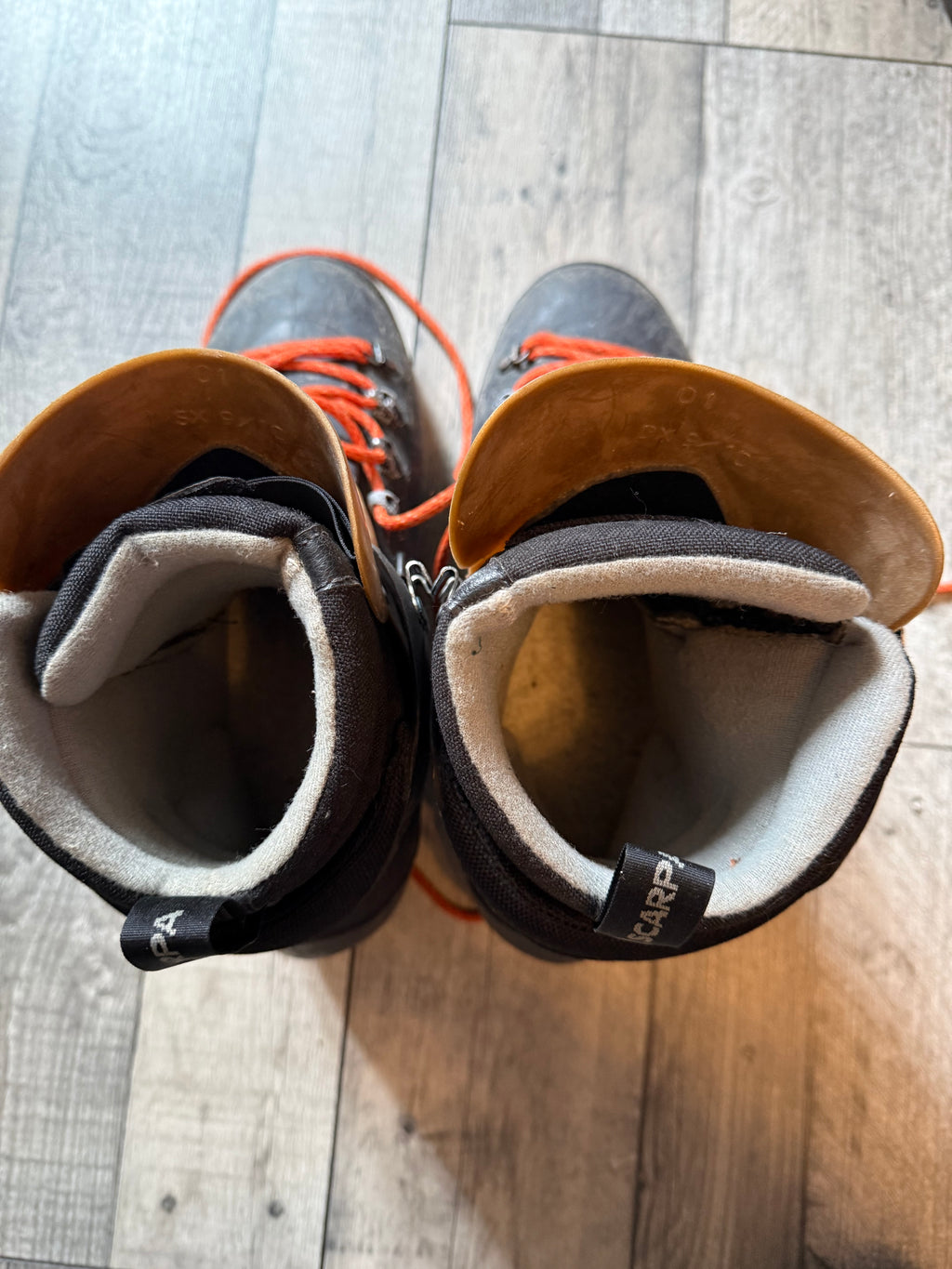 Scarps Alpha double boots